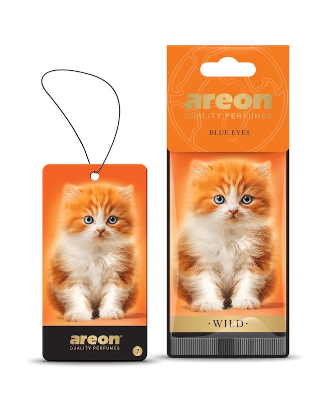 Areon-Wild-Blue-Eyes